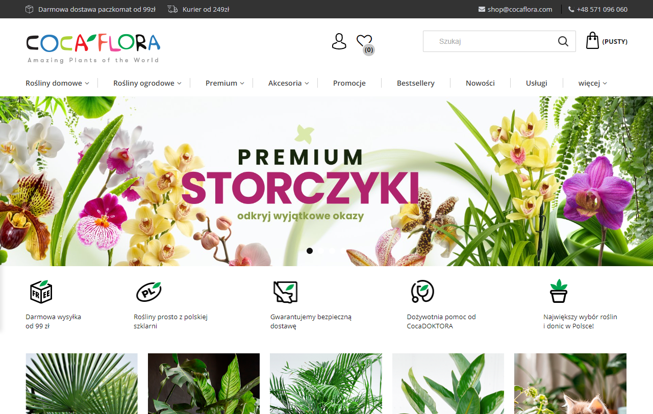 Jak dbać o kwiaty doniczkowe zimą i latem?